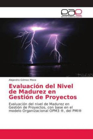 Carte Evaluacion del Nivel de Madurez en Gestion de Proyectos Alejandra Gómez Meza