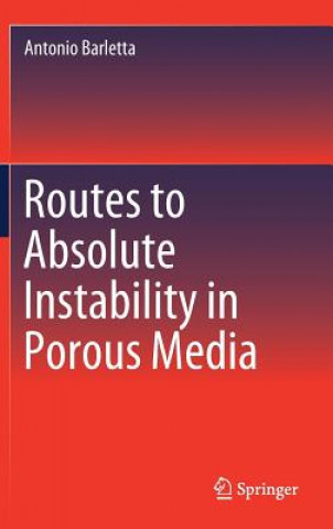 Kniha Routes to Absolute Instability in Porous Media Antonio Barletta