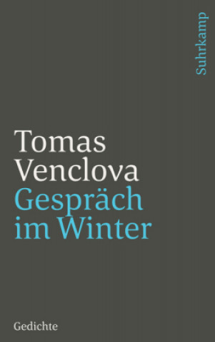 Kniha Gespräch im Winter Tomas Venclova