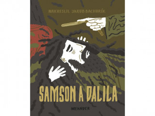 Kniha Samson a Dalila Ivana Pecháčková