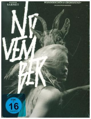 Video November Rainer Sarnet