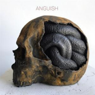 Audio Anguish Anguish