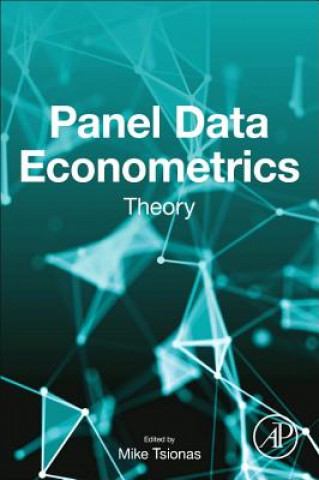 Kniha Panel Data Econometrics Mike Tsionas