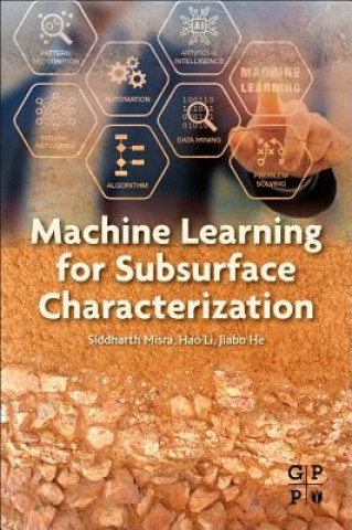 Knjiga Machine Learning for Subsurface Characterization Siddharth Misra