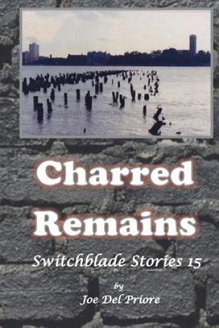 Książka Charred Remains: Switchblade Stories 15 MR Joe Del Priore