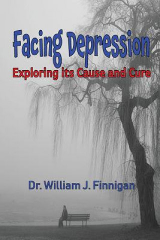 Kniha Facing Depression William J. Finnigan