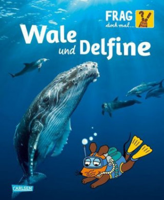 Kniha Frag doch mal ... die Maus!: Wale und Delfine Sylvia Englert