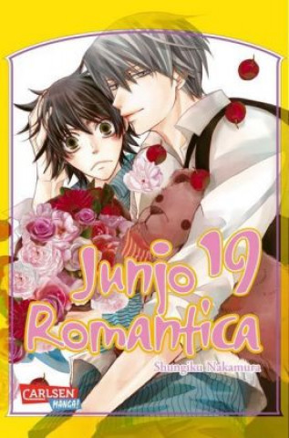 Kniha Junjo Romantica 19 Shungiku Nakamura