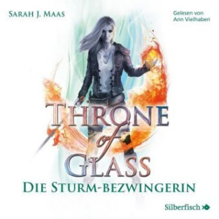 Digital Throne of Glass 5: Die Sturmbezwingerin Sarah Janet Maas