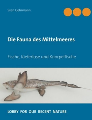 Kniha Die Fauna des Mittelmeeres Sven Gehrmann