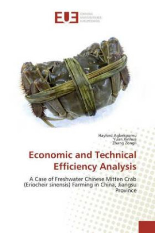 Buch Economic and Technical Efficiency Analysis Hayford Agbekpornu