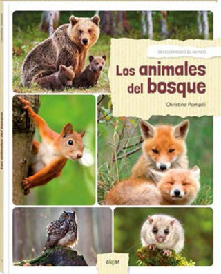 Kniha LOS ANIMALES DEL BOSQUE CHRISTINE POMPEI