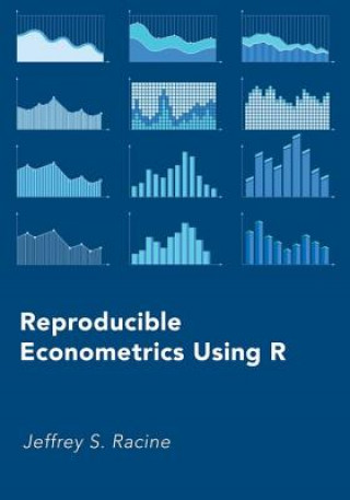 Kniha Reproducible Econometrics Using R Jeffrey S. Racine