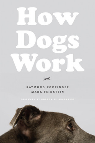 Книга How Dogs Work Raymond Coppinger