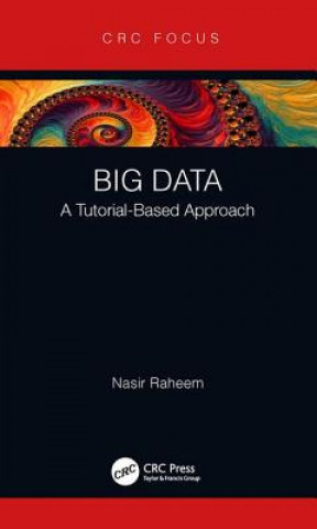 Kniha Big Data Raheem