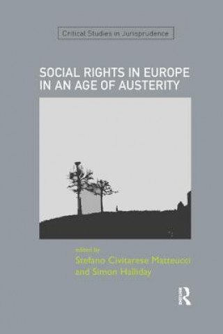 Kniha Social Rights in Europe in an Age of Austerity 