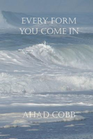 Βιβλίο Every Form You Come In AHAD COBB