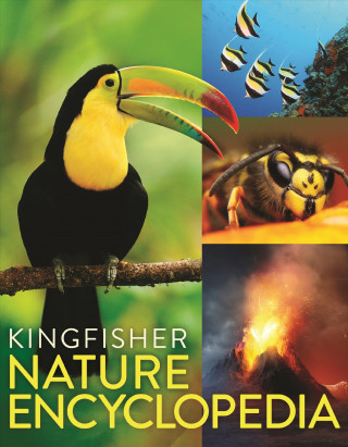 Carte Kingfisher Nature Encyclopedia David Burnie