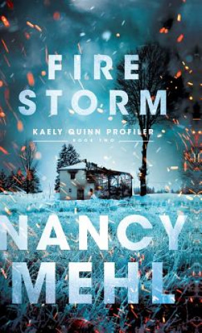 Boek Fire Storm Nancy Mehl