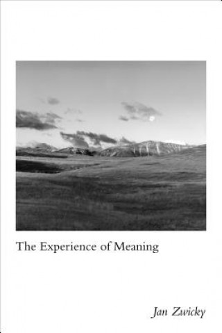 Kniha Experience of Meaning Jan Zwicky