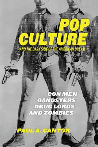 Könyv Pop Culture and the Dark Side of the American Dream Paul A. Cantor