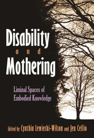 Buch Disability and Mothering Cynthia Lewiecki-Wilson