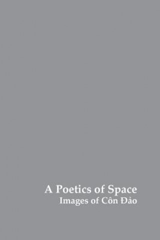 Kniha Poetics of Space Charles Fox