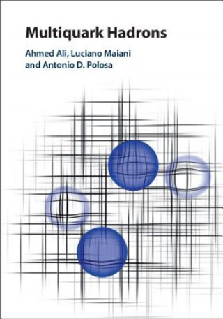 Kniha Multiquark Hadrons Ahmed Ali
