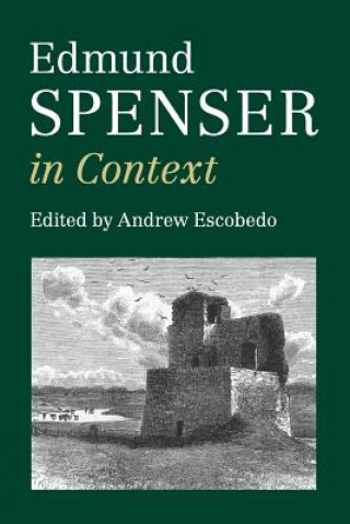 Kniha Edmund Spenser in Context Andrew Escobedo