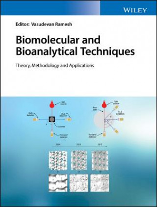 Kniha Biomolecular and Bioanalytical Techniques - Theory, Methodology and Applications Vasudevan Ramesh
