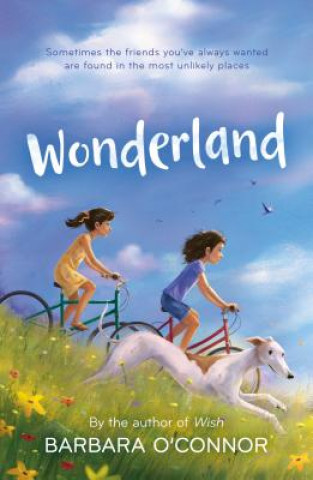 Kniha Wonderland Barbara O'Connor