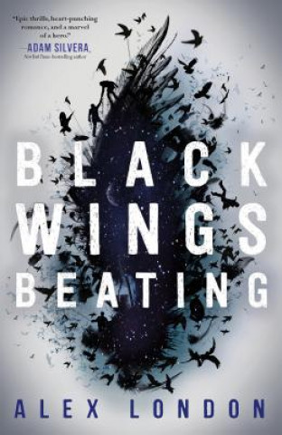 Buch Black Wings Beating Alex London