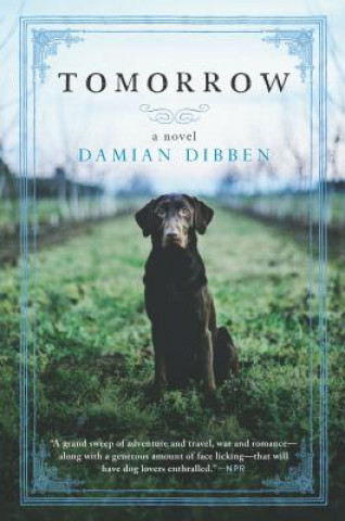 Kniha Tomorrow Damian Dibben