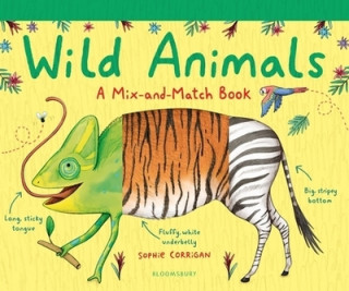 Book Wild Animals Sophie Corrigan