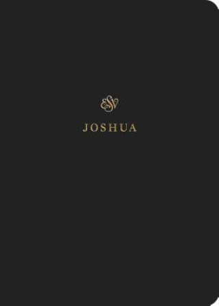 Knjiga ESV Scripture Journal: Joshua 