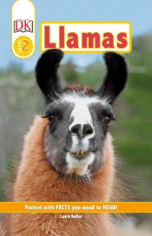 Könyv DK Readers Level 2: Llamas DK