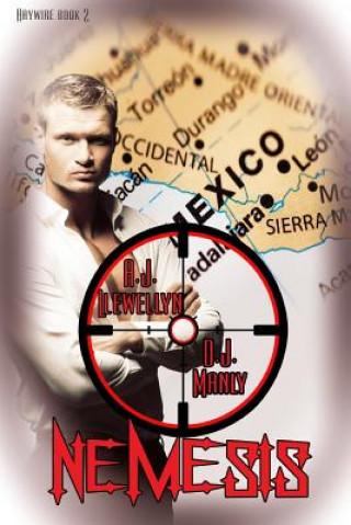 Buch Nemesis A J Llewellyn