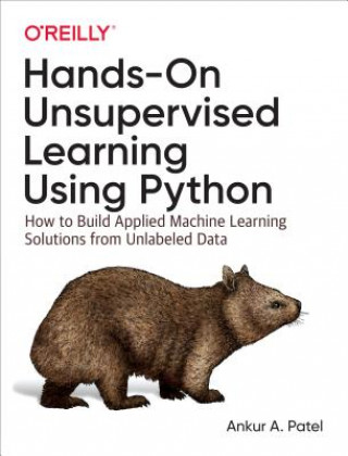 Könyv Hands-On Unsupervised Learning Using Python Ankur A. Patel