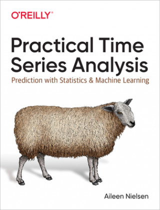 Książka Practical Time Series Analysis Aileen Nielsen