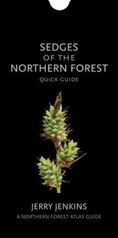 Carte Sedges of the Northern Forest: Quick Guide Jerry Jenkins