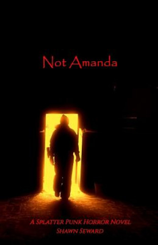 Knjiga Not Amanda Shawn Seward