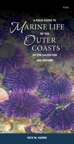 Kniha Field Guide to Marine Life of the Outer Coasts of the Salish Sea and Beyond Rick M. Harbo