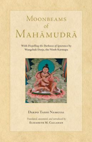 Könyv Moonbeams of Mahamudra Dakpo Tashi Namgyal