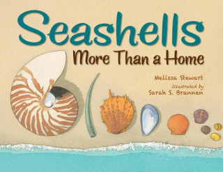 Libro Seashells Melissa Stewart