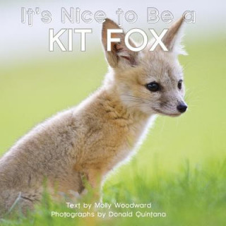 Carte It's Nice to Be a Kit Fox Molly Woodward