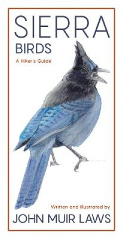 Kniha Sierra Birds John Muir Laws