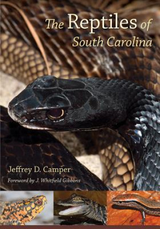 Könyv Reptiles of South Carolina Jeffrey D. Camper