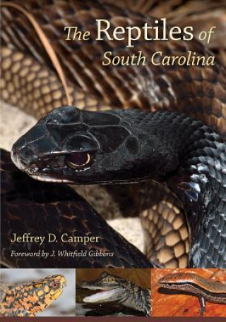 Książka Reptiles of South Carolina Jeffrey D. Camper