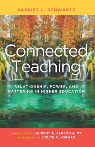 Knjiga Connected Teaching Harriet L. Schwartz