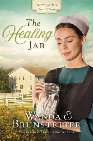 Книга The Healing Jar Wanda E. Brunstetter